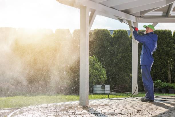 Best Animal Enclosure Cleaning  in Willmar, MN